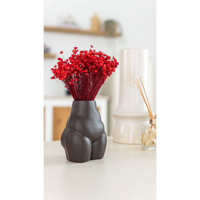 Rode Glixia droogbloemen | Lengte ± 50 centimeter | Gewicht ± 50 gram