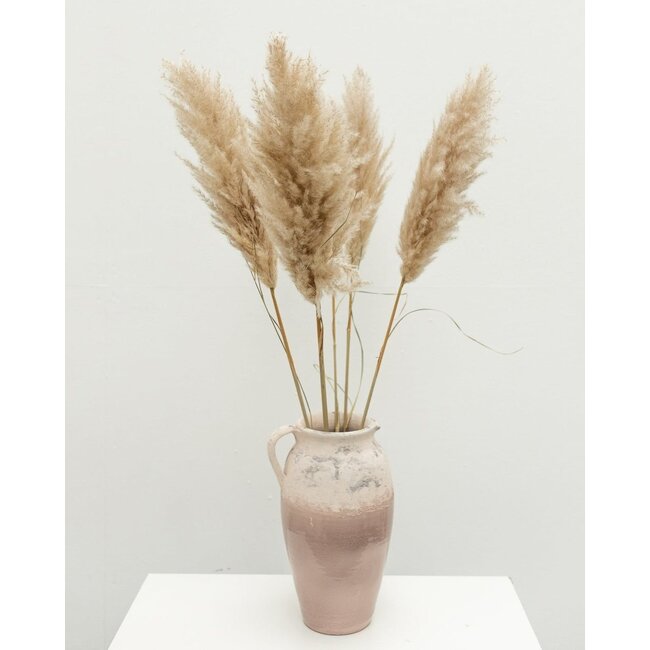 Naturel gedroogde Fluffy Pampas pluimen | Lengte ± 100 centimeter | Per 5 takken