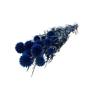 Casa Alegria Blauwe Echinops gepreserveerde bloemen | Lengte ± 65 centimeter | Gewicht ± 350 gram