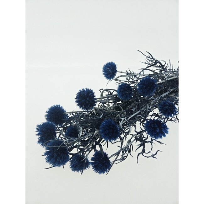 Blue Echinops preserved flowers | Length ± 65 centimetres | Weight ± 350 grams
