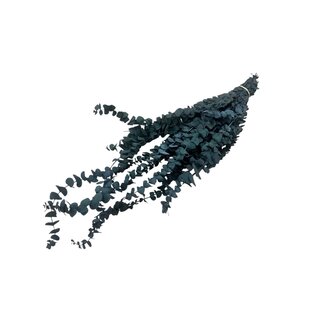 Dutch Dried Naturel groene Eucalyptus Baby Blue | Gepreserveerd | Lengte ± 60 centimeter | Gewicht ± 150 gram