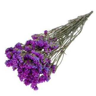Dutch Dried Dunkelrosa Statice Sinuata Trockenblumen | Länge ± 70 Zentimeter | Gewicht ± 75 Gramm