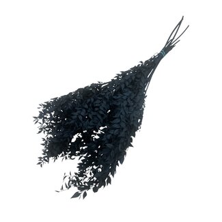 Casa Alegria Black Preserved Ruscus Dried Flowers | Length ± 65 centimetres | Weight ± 100 grams