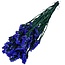 Paarse Statice Sinuata gepreserveerde bloemen  | Lengte ± 65 centimeter | Gewicht ± 75 gram