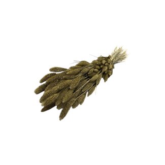 Dutch Dried Goudkleurige Setarea droogbloemen | Lengte ± 70 centimeter | Gewicht ± 150 gram