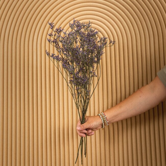 Blue Limonium Diamond dried flowers | Length ± 70 centimetres | Weight ± 100 grams