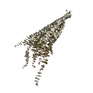 Casa Alegria Goudkleurige Eucalyptus Baby Blue droogbloemen | Lengte ± 55 centimeter | Gewicht ± 150 gram