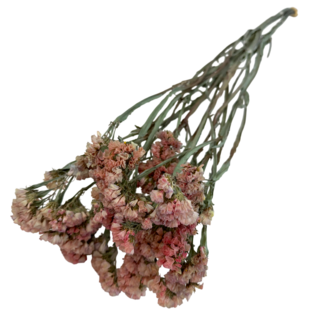 Dutch Dried Salmon-coloured Statice Sinuata dried flowers | Length ± 70 centimetres | Weight ± 75 grams