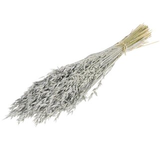 Dutch Dried Grey Avena Oats dried flowers | Length ± 70 centimetres | Weight 150 grams