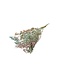 Pastellfarbene Gypsophila Trockenblumen | Getrocknetes Schleierkraut | Länge ± 65 Zentimeter | Pro 5 Zweige