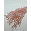 Pink preserved Ruscus dried flowers | Length ± 65 centimetres | Weight ± 100 grams