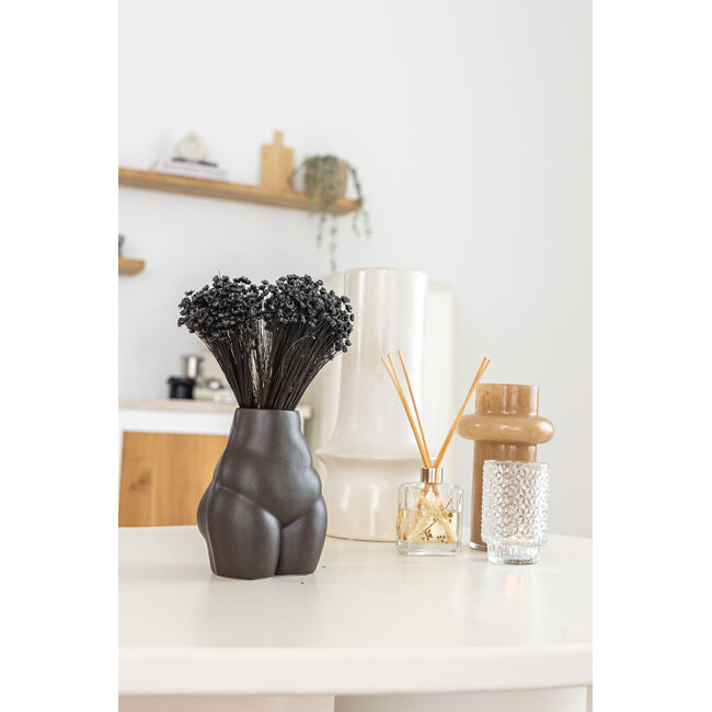 Black Glixia dried flowers | Length ± 50 centimetres | Weight ± 50 grams