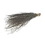 Branches de bouleau noir | Longueur ± 60 centimètres | Par 10 branches
