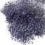 Lila-blaue Broom Bloom Trockenblumen | Länge ± 50 Zentimeter | Gewicht 100 Gramm