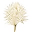 White bleached Palm Sun branches | Length ± 60 centimetres | Per 5 branches