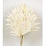 White bleached Palm Sun branches | Length ± 60 centimetres | Per 5 branches
