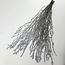 Branches de bouleau enneigées blanches | Longueur ± 60 centimètres | Par 10 branches