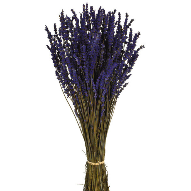 Dark blue preserved Lavender | Length ± 45 centimetres | Weight ± 150 grams