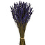 Donkerblauw gepreserveerde Lavendel | Lengte ± 45 centimeter | Gewicht ± 150 gram