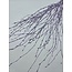 Lilac Misty Branches de Bouleau | Longueur ± 60 centimètres | Par 10 branches