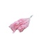 Fleurs séchées Broom Bloom rose clair blanchi | Longueur ± 55 centimètres | Poids 150 grammes