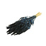 Dark Blue Amaranthus Cruentus Dried Flowers | Length ± 60 centimetres | Weight ± 125 grams