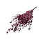 Red-pink Eucalyptus Cinerea dried flowers | Length ± 65 centimetres | Weight ± 150 grams