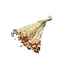 Terracotta-coloured Happy Flower dried flowers | Length ± 45 centimetres | Weight ± 100 grams