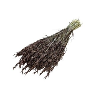 Dutch Dried Brown Avena Oats dried flowers | Length ± 70 centimetres | Weight 150 grams