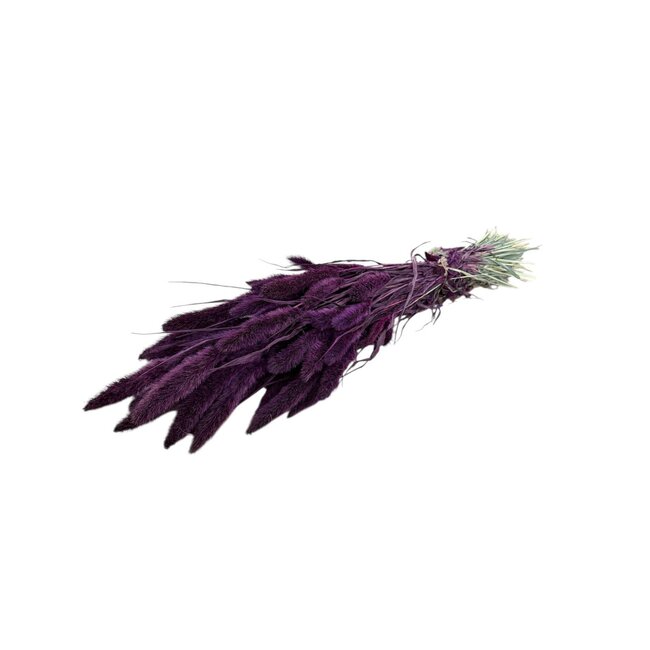 Setarea | Purple | 150 gr | 70 cm