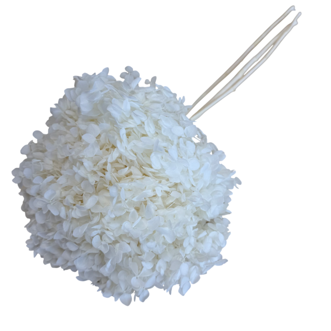 Hydrangea Preserved | White Snow | 60 cm | Per 1 stem