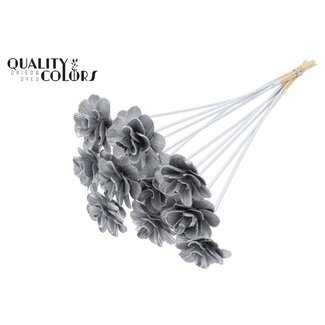 QC Beetal Rose 6cm on stem Silver