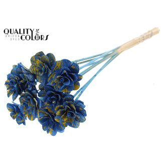 QC Beetal Rose 6cm on stem Splashed Blue/Yellow