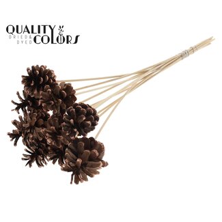 QC Pine cone 5-7cm on stem Copper Tipped