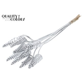 QC Cane Cone on stem Silver