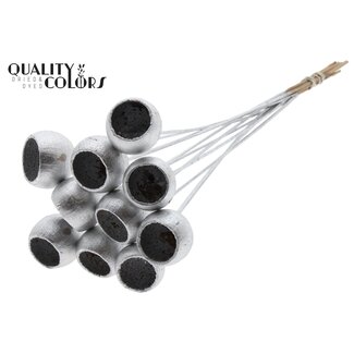 QC Bell Cup on stem Silver