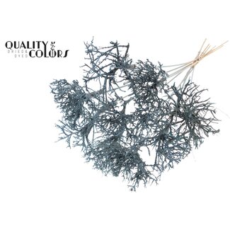 QC Dry Tree on stem Frosted Light Blue