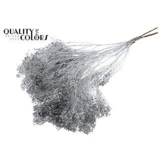 QC Broom Bloom p/bunch in poly Silver