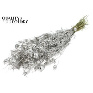 QC Nigella per bunch Platina