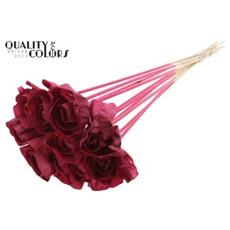 QC Shola Dear Holly 6cm on stem Burgundy