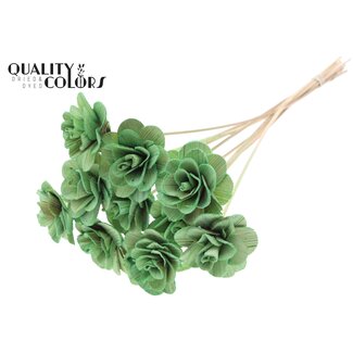 QC Beetal Rose Ø8cm on stem Mint