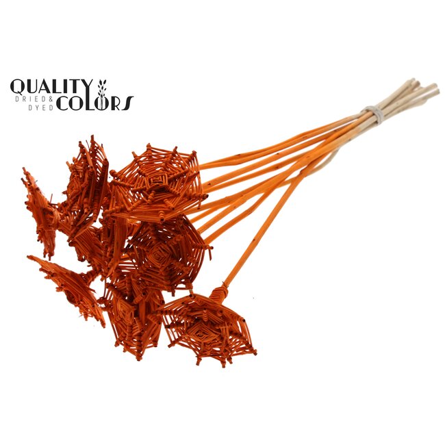 Lata Spiderweb hat type on stem Orange