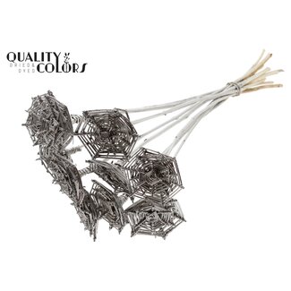 QC Lata Spiderweb hat type on stem Platina