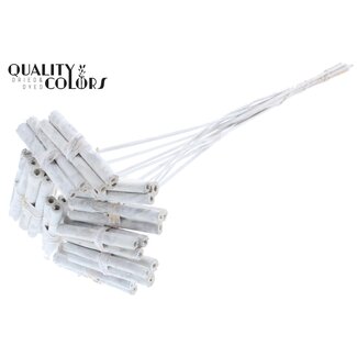 QC Jute Stick Posy on stem Covered White