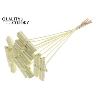 QC Jute Stick Posy on stem Covered Creme