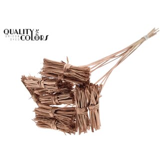 QC White Lady posy on stem Copper