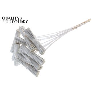 QC Kore Posy on stem Covered White