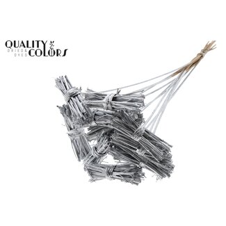 QC White Lady posy on stem Silver