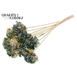 QC Shola Karnish Flower 6cm on stem Multicolour Green/Yellow