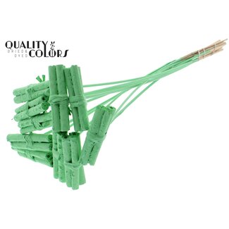 QC Jute Stick Posy on stem Covered Mint Green